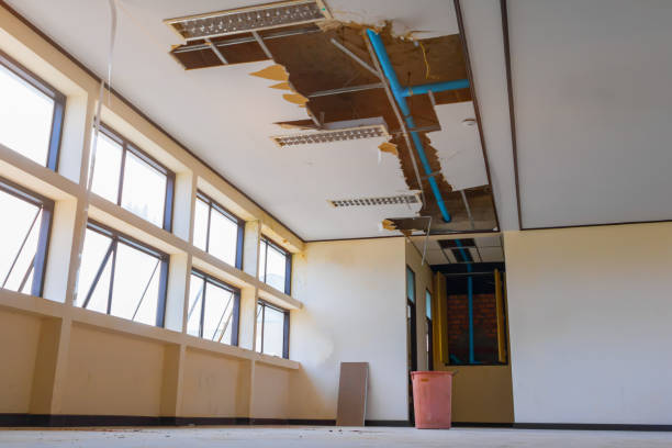 Best Flood restoration services  in Mount Vernon, WA