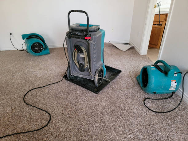 Best Local water damage restoration  in Mount Vernon, WA