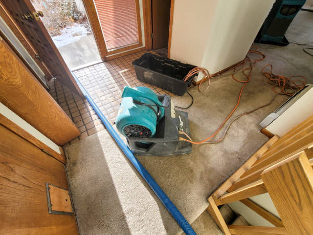 Water damage restoration mold remediation in WA