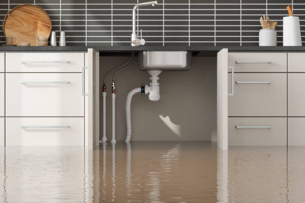 Best Local water damage restoration  in Mount Vernon, WA