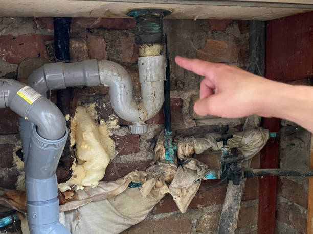 Best Water damage cleanup near me  in Mount Vernon, WA
